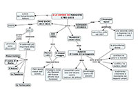 Le opere di Manzoni Mappa Concettuale