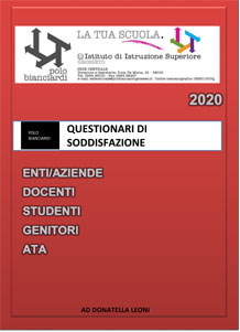 Riepilogo questionari 2020 1